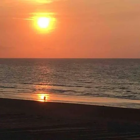 In Near The Sea, Cleaning Included * 코크시데