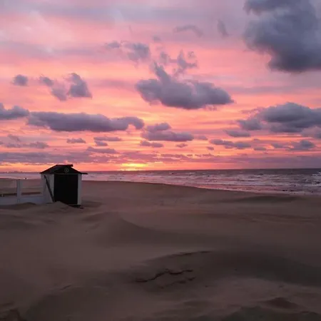 In Near The Sea, Cleaning Included 아파트