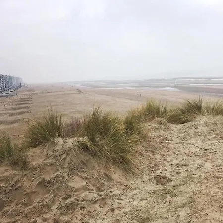 アパート In Near The Sea, Cleaning Included