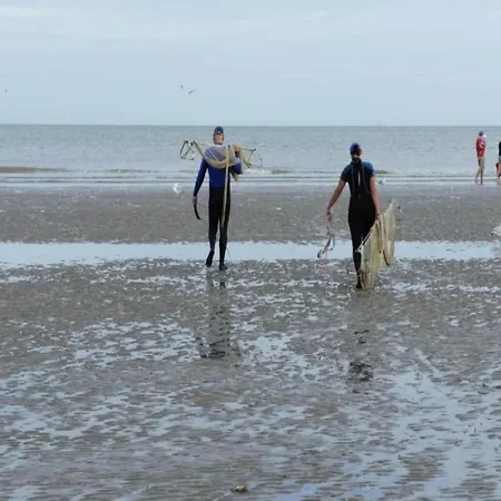 In Near The Sea, Cleaning Included