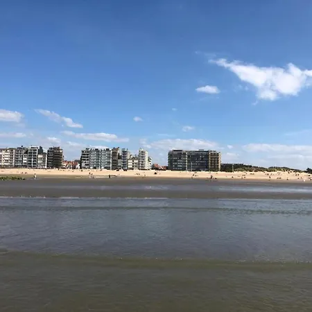 Apartment In Near The Sea, Cleaning Included Koksijde