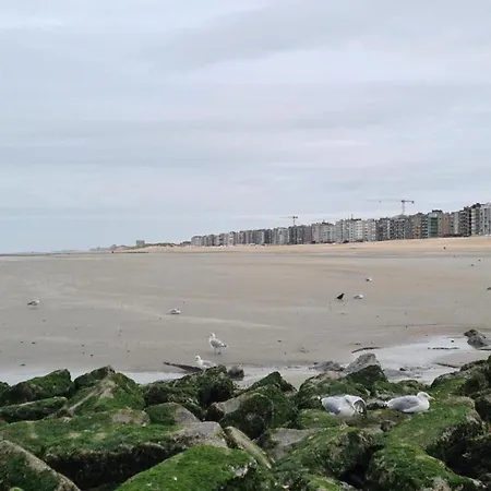 아파트 In Near The Sea, Cleaning Included