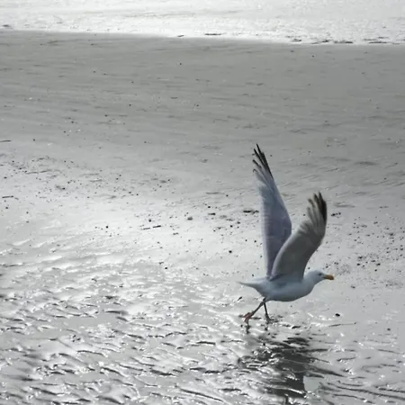 アパート In Near The Sea, Cleaning Included