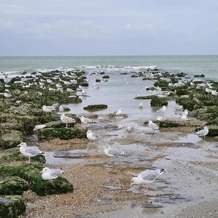 In Near The Sea, Cleaning Included 코크시데